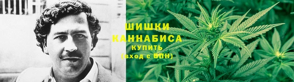 бутират Инта