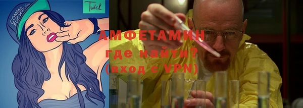 индика Иннополис
