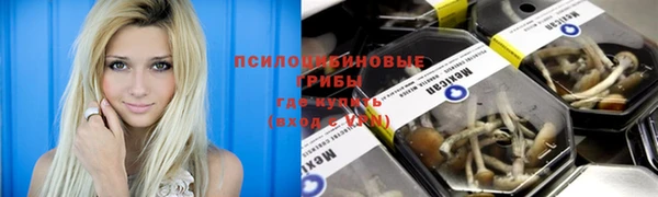бутират Инта