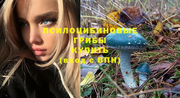 метадон Инсар