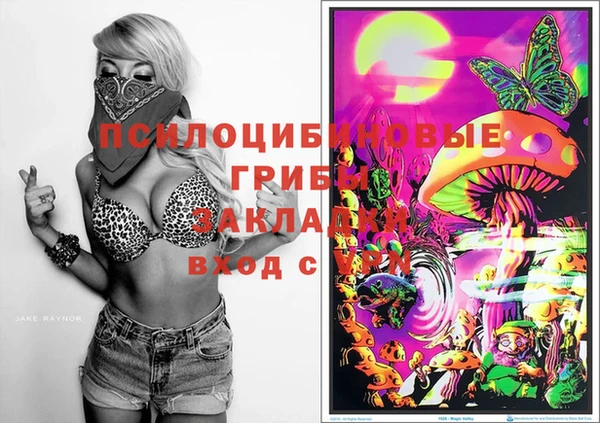 индика Иннополис