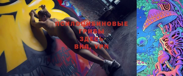 метадон Инсар