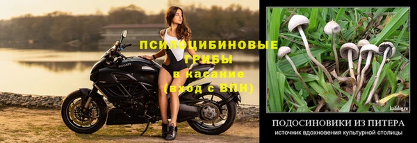 PSILOCYBIN Зеленокумск